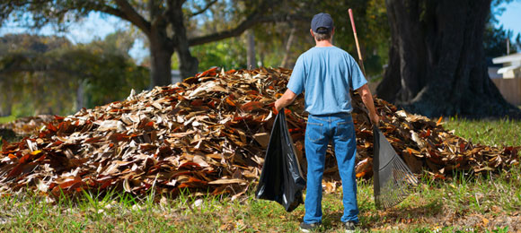 where to dump yard waste