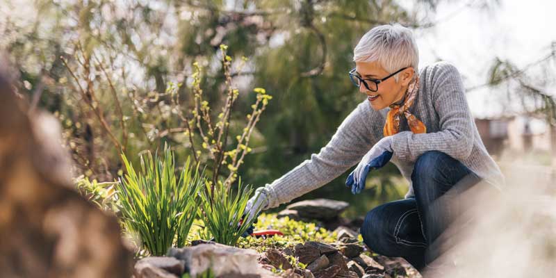 woman cleaning out her garden bed