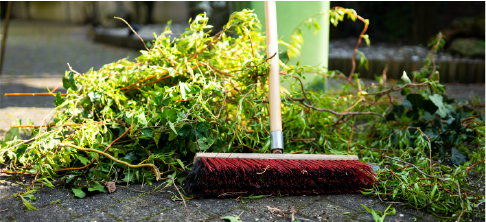 Racking up yard waste