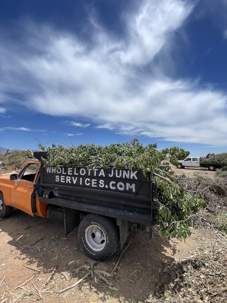 Whole Lotta Junk Services LLC