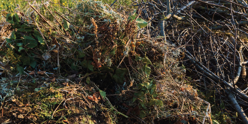 piles of yard waste ready for removal