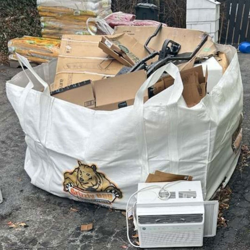 Grizzly Junk Pros photo