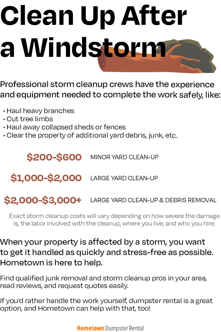 windstorm cleanup infographic