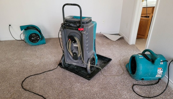 Fans drying out a flood-damaged room